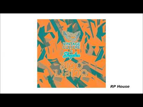 Vintage Culture - Shapeless Bidolibido