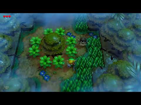 Chillin with the Racoon Dude in the Woods! LoZ Links Awakening gameplay clip!