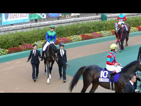 【4K】2014.11.30 JRA Japancup Paddock ジャパンカップ パドック