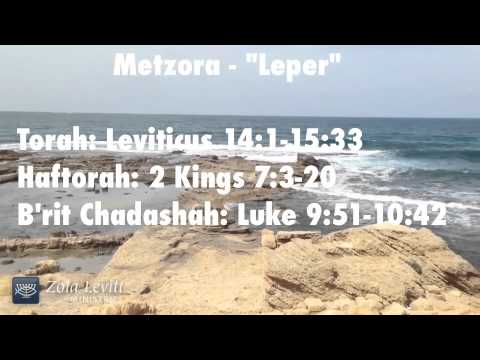Metzora Torah Portion