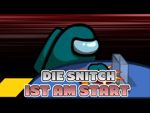 Die Snitch klärt den Fall! 🔪 Among Us The Other Roles