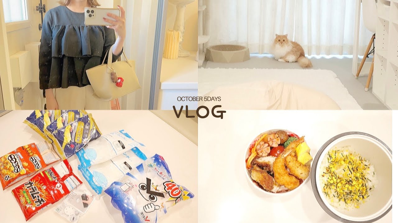 10月まとめ🍂🐈🗓📣