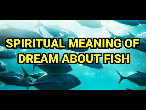 Biblical Meaning of FISH in Dream - Prophetic Meaning of Fish