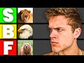 What Animals Could I Beat In A Fight