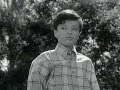 Till Der Junge Von Nebenan 1967 7 Der Große Freund