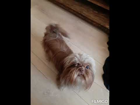 DJ Bonebreaker French To The Core