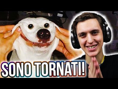 LA VENDETTA DEL DOGGO COMUNISTA!! - Meme reaction ITA