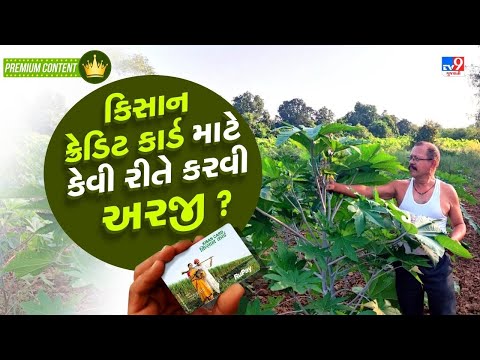 કિસાન ક્રેડિટ કાર્ડ માટે કેવી રીતે કરવી અરજી ? | TV9Gujarati | Farmer