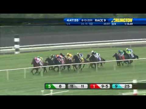 2011 Beverly D Stacelita