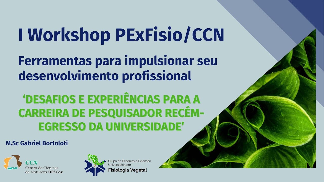 Desafios e experiências para a carreira de pesquisador recém egresso da universidade