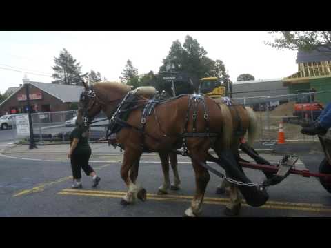 Memorial Day Parade in Ludlow, Ma August 6, 2016(1)