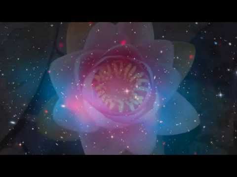 Visualizations on Equanimity  | Ram Dass Guided Meditation