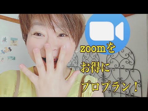 Zoom の費用の概要: Zoom の料金はどのくらいですか?