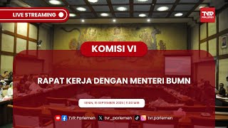 KOMISI VI DPR RI RAPAT KERJA DENGAN MENTERI BUMN RI