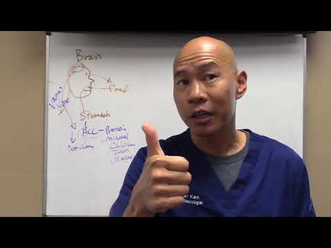 Journey Through The Digestive Tract and Where Things Go Wrong