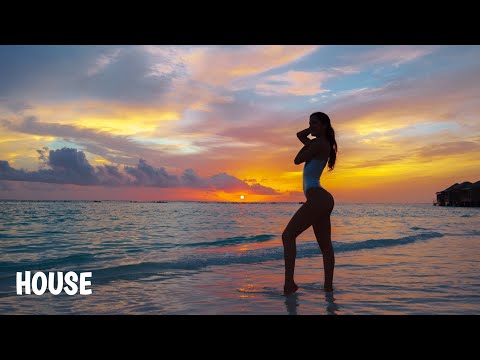 Satellite - Onda Norte