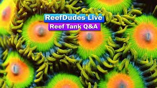 ReefDudes Live - Saltwater Reef Tank Live Q&A