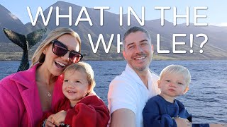 A WHALE OF A DAY! HAWAII VLOG