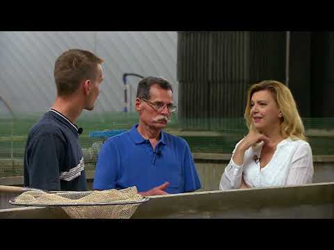 Gasztroangyal 25. rész - Vendégségben Kalla Kálmánnál (2017)