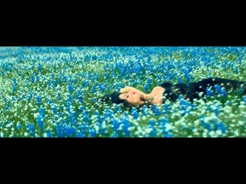 NOBALA - RAINI CHARUKA | LYRICS