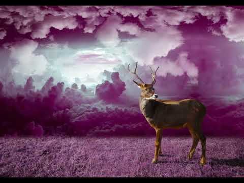 Bizet & Guiraud- L'Arlésienne Suites 1 & 2 (A Piece for Epiphany)