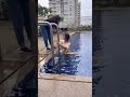 49 Year Old Tisca Chopra Jumps Into Pool Wearing A Saree Tiscachopra Saree Pool