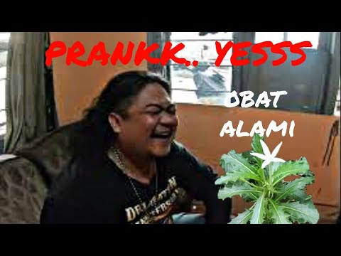 PRANKKK     YESS......GURAH MATA BUAT OFFRODER DENGAN BUNGA KOREJAT