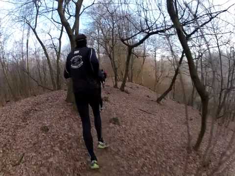 GOPR1067 Bregnano: tratto boschivo