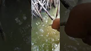 Download lagu cuma pake alat cepon kecil mp3