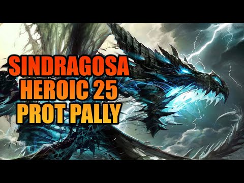 Sindragosa 25 Heroic - Prot Paladin POV | WOTLK Classic