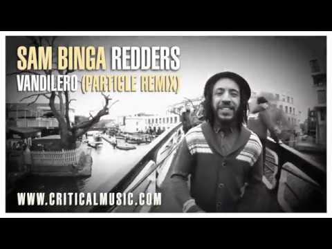 Sam Binga & Redders - Vandilero (Particle Remix)