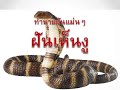 ทํานายฝัน เลขเด็ด แม่นๆ ฟรี