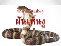 ทํานายฝัน เลขเด็ด แม่นๆ ฟรี