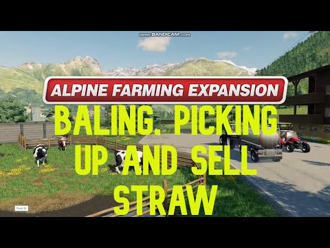 FS 19 Erlengrat Alpine Farming DLC EP23:Baling, picking up and sell straw