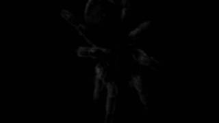 Enter Dark, Exit Light - Dethcentrik