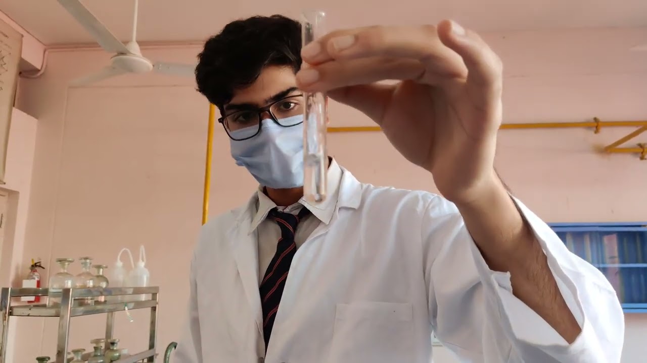 NEET/JEE 2025 Mn+2 ion test group 4 Class 11 and 12 CBSE Practicals....