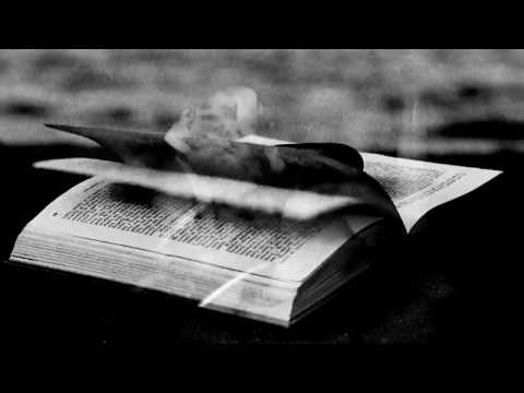 Re_P & Hakko - Mutual Brutality (Opål  Remix) [AD003]