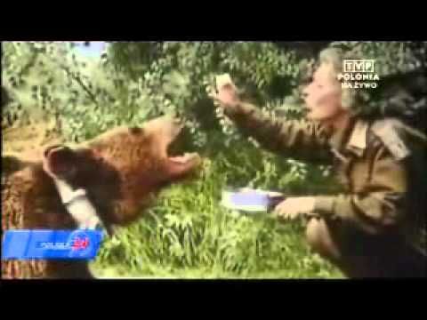 miś Wojtek z armii generała Andersa