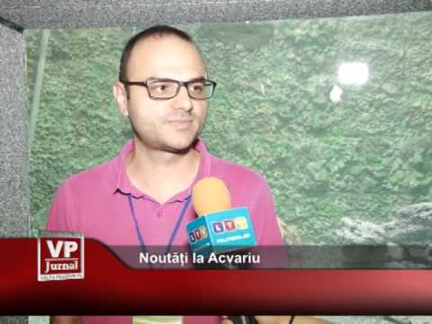 Noutăți la Acvariu
