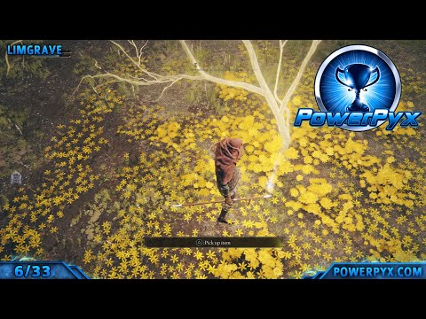 Elden Ring - All Golden Seeds Locations (Flask Upgrades)