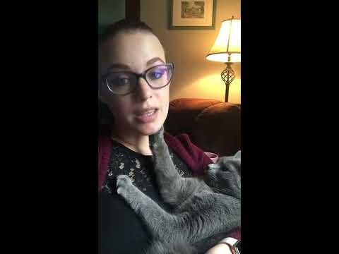 HistoryWithCats - The Legend of Melusine