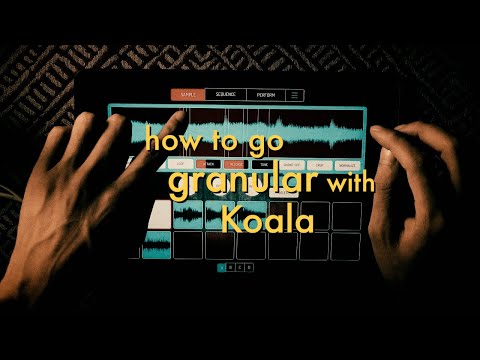 Koala Sampler trick - Granular Effect