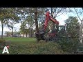 Gemeente start met kap van 1796 bomen