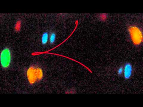 bob sinclar vs lumedee & Greg B remix by peter mashdeejays