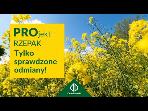 PROjektRZEPAK.pl | Dobór najlepszych odmian rzepaku ozimego 🌱