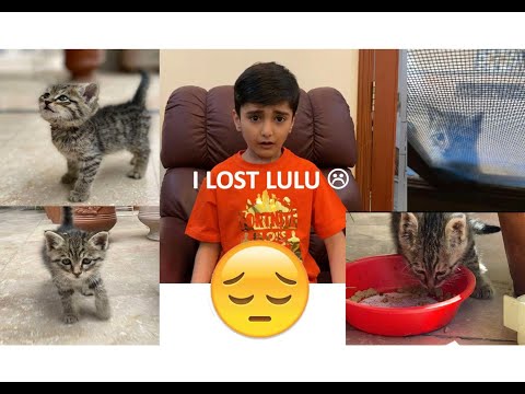 I Lost Lulu :( but….