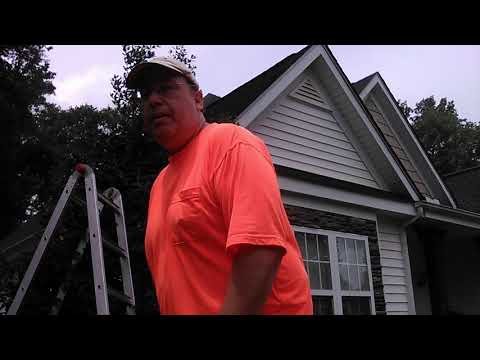 NOW I TRIM BACK MONSTER HOLLY TREE! (Part 2. Ouch!)