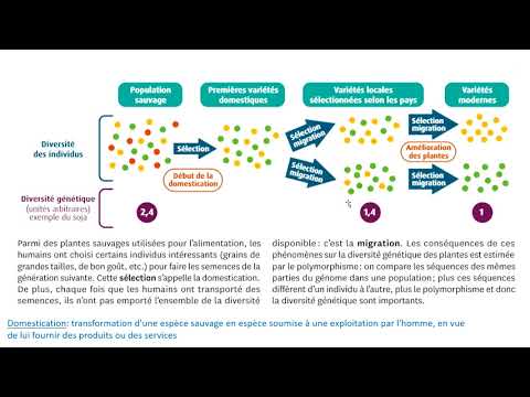 Biodiversité et évolution