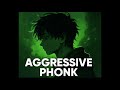 1 HOUR BRAZILIAN PHONK FUNK MIX 2025 AGGRESSIVE PHONK MUSIC PLAYLIST GYM AGGRESSIVE FUNK