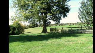 You&#39;re Just A Country Boy &quot;BY&quot; Alison Krauss